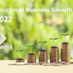 Maximising Small Business Growth For 2022