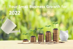 Maximising Small Business Growth For 2022