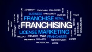 Franchise as a digital startup tech entrepreneur? - Small Business Ideas